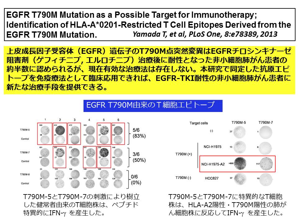 EGFR