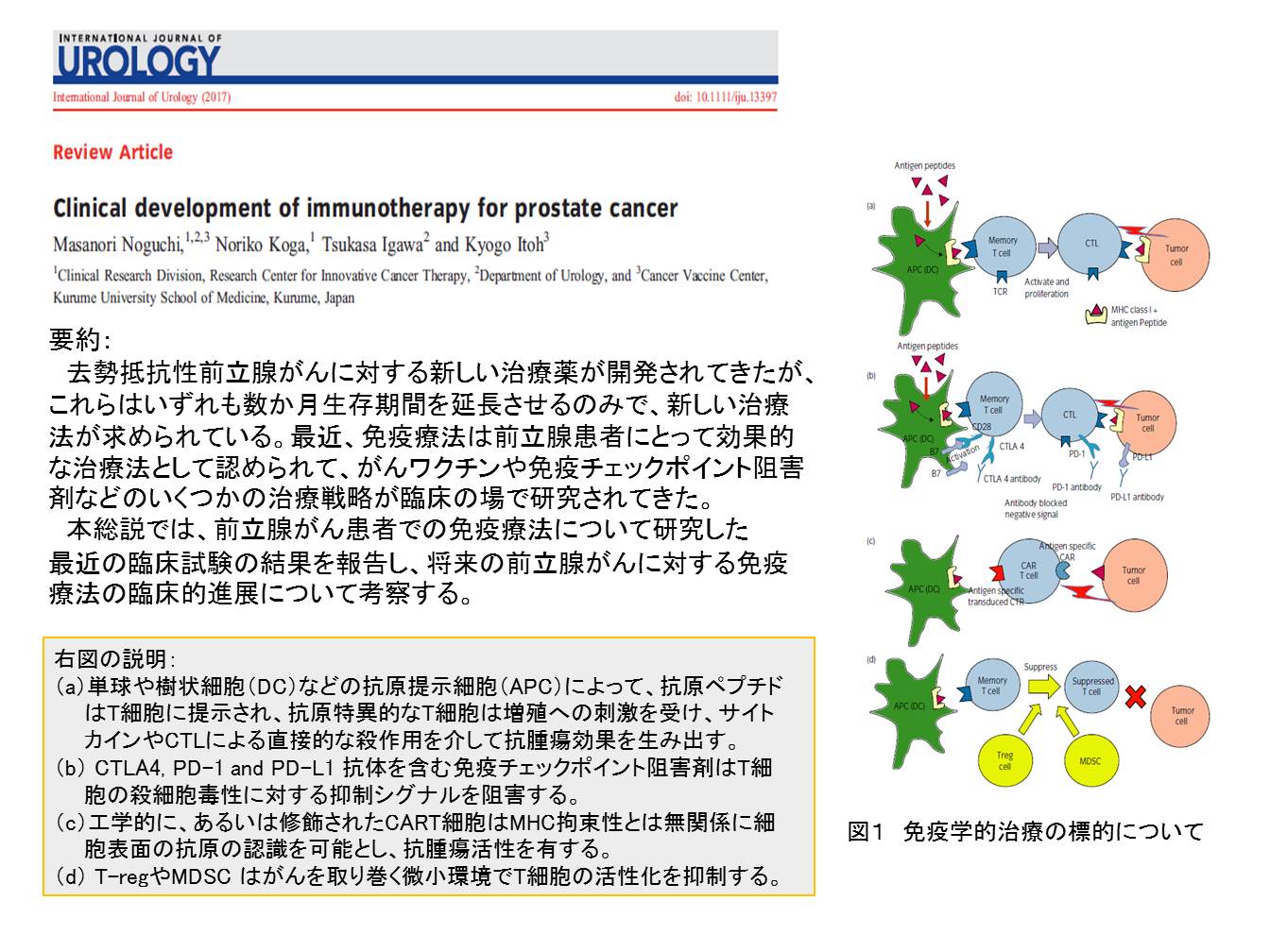 prostate_cancer1