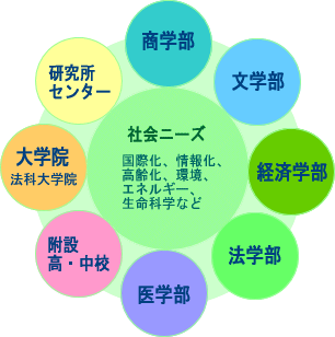 活動内容組織図