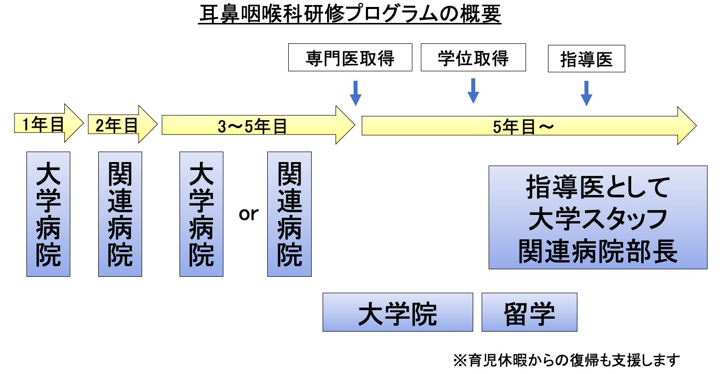 耳鼻咽喉科研修プログラム