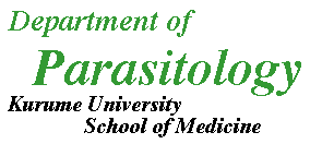  Welcome to Parasitology, Kurume Univ. Sch. of Med.
