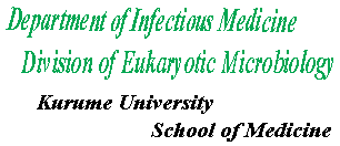 Welcome to Eukaryotic Microbiology, Kurume Univ. Sch. of Med.