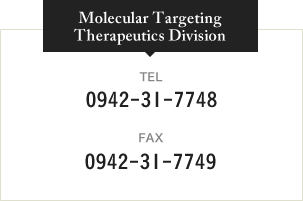Molecular Targeting Therapeutics Division