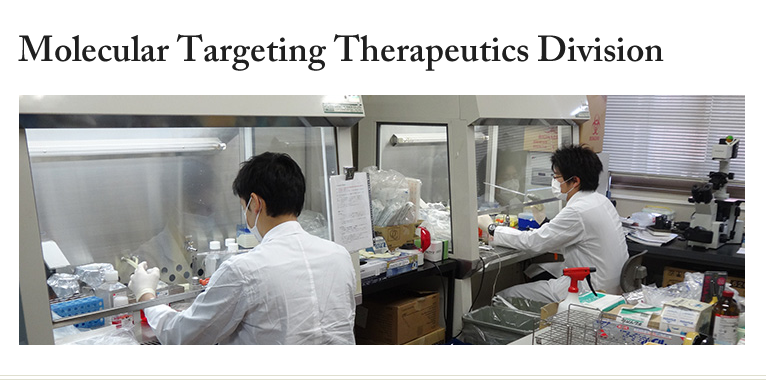 Molecular Targeting Therapeutics Division