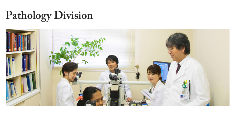 Liver Cancer Research Division