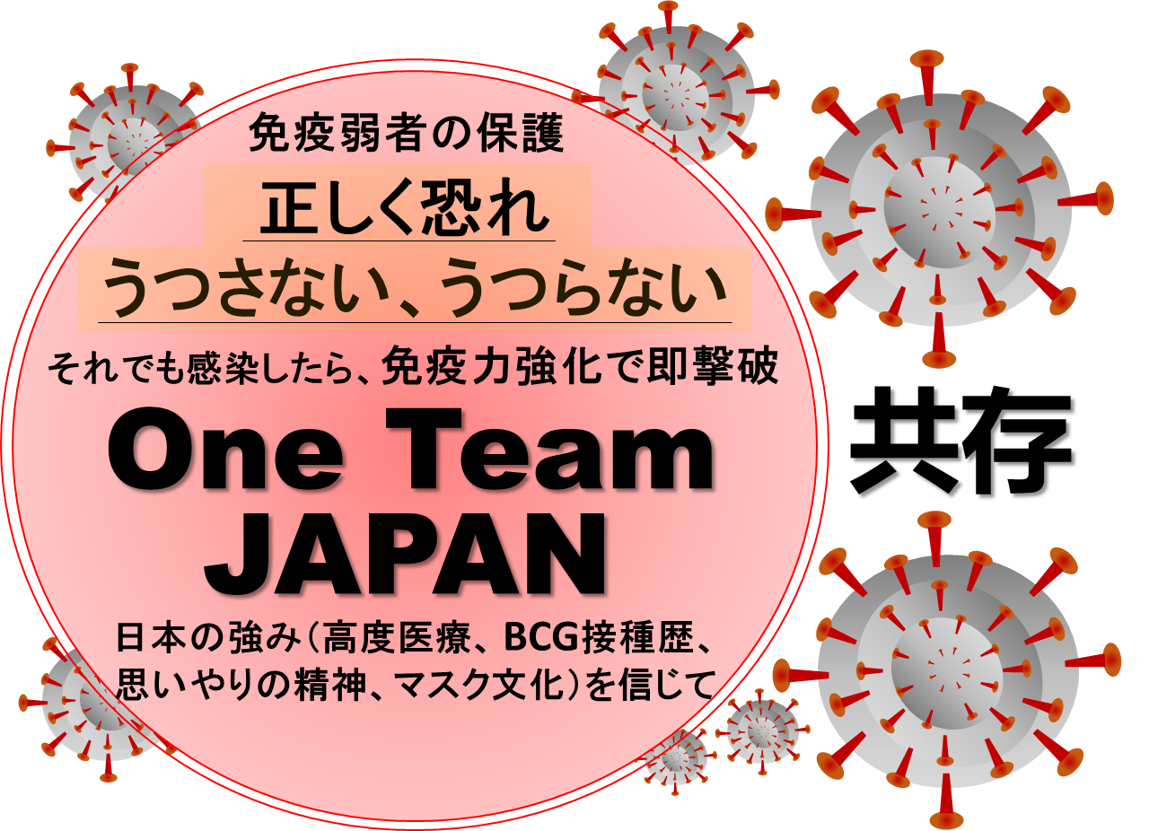 ウイルスの基礎知識動画3本（その１、ウイルス増殖、その２、ヒトのウイルスに対する免疫、その３、ウイルスＲＮＡ検出法）（2月24日作成）